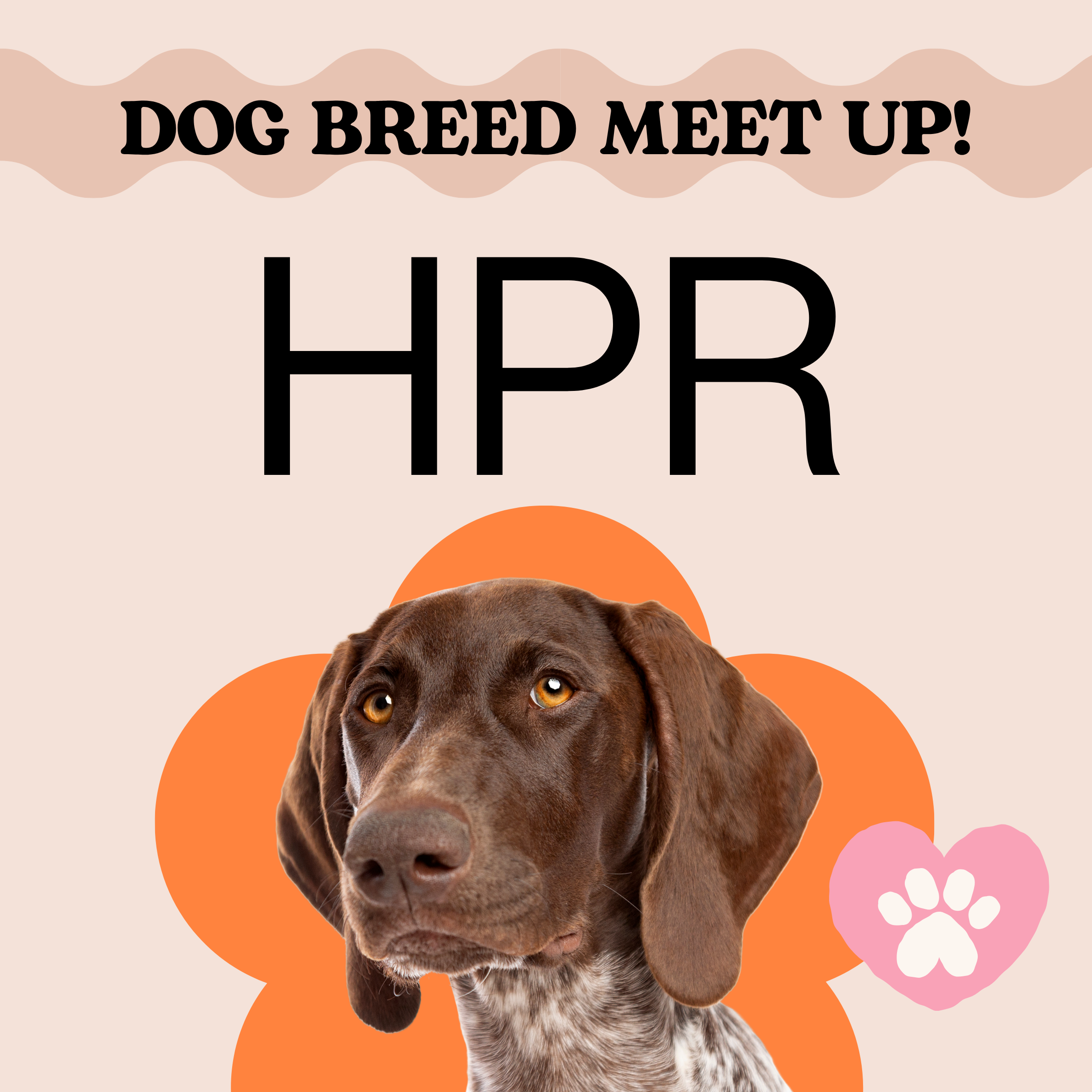HPR Breed Meet Up Suffolk at The Freston Boot